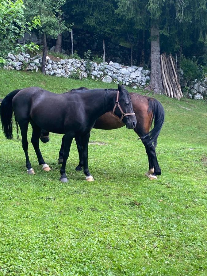Posestvo Tmzek Villa Bovec Exteriör bild