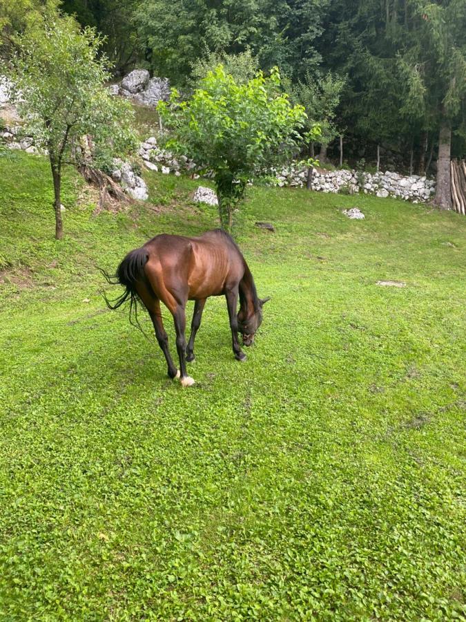 Posestvo Tmzek Villa Bovec Exteriör bild